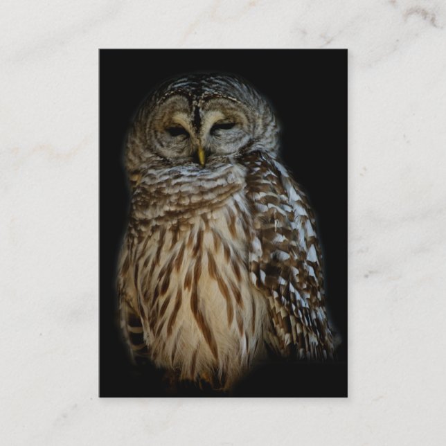 Sleepy Owl Mini Print Visitenkarte (Vorderseite)