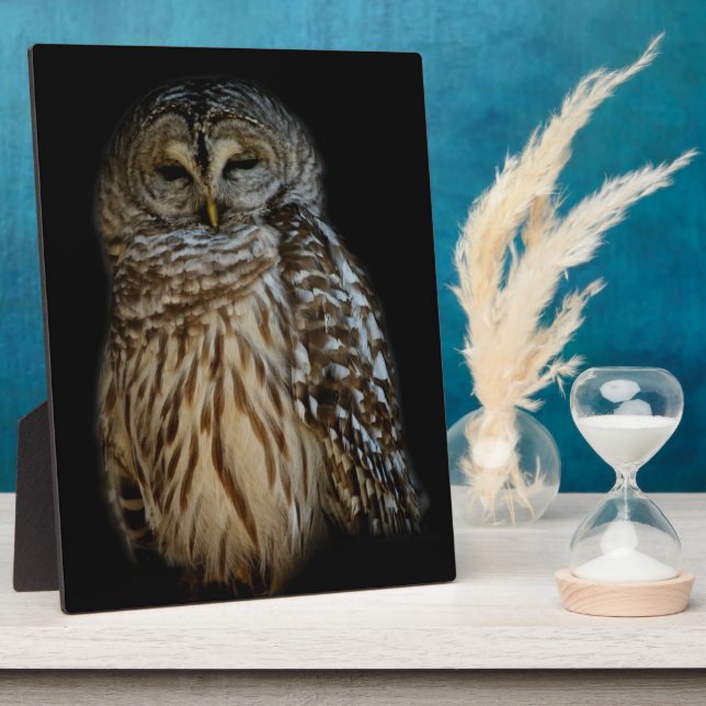 Sleepy Owl Plaque Fotoplatte (Seite)