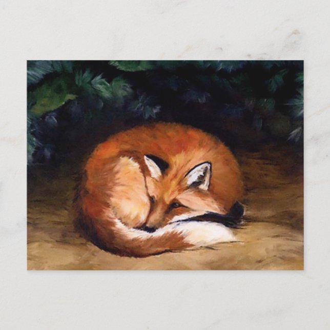 Sleepy Red Fox Art Postcard Postkarte (Vorderseite)