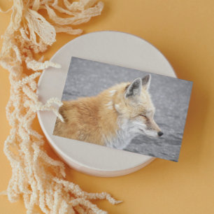 Sleepy Red Fox Funny Wildlife Geburtstag Karte