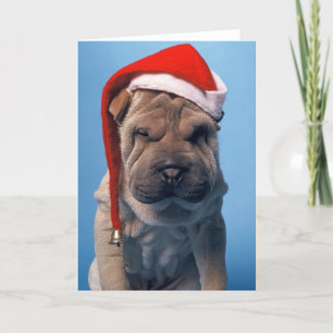Sleepy Shar Pei x mas Weihnachtshund Feiertagskarte
