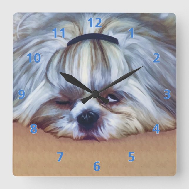 Sleepy Shih Tzu Dog Quadratische Wanduhr (Vorderseite)