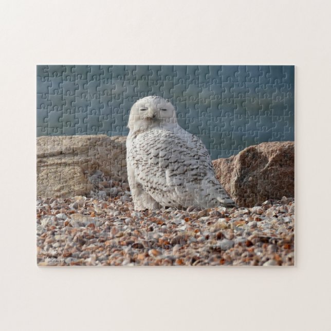 Sleepy Snowy Owl Puzzle (Horizontal)