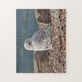 Sleepy Snowy Owl Puzzle