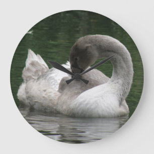 Sleepy Swan Clock Große Wanduhr