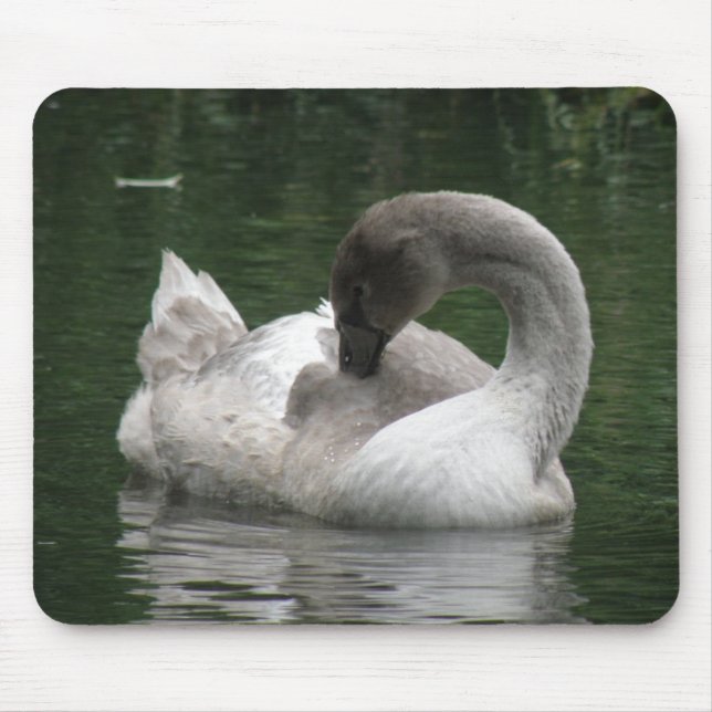 Sleepy Swan Mousepad (Vorne)