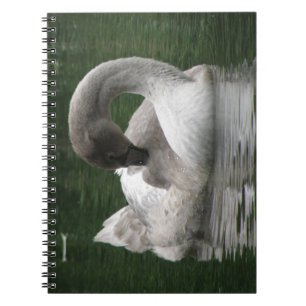 Sleepy Swan Notebook Notizblock