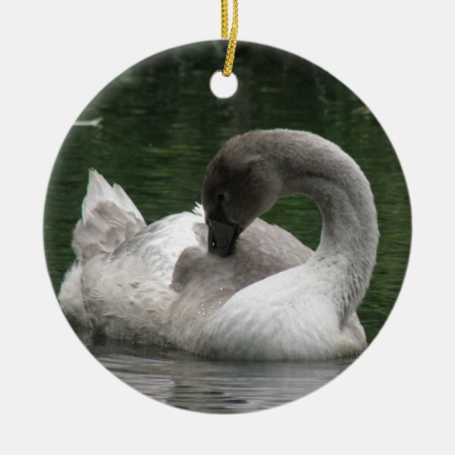 Sleepy Swan Ornament (Vorne)