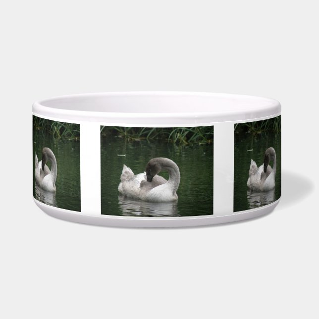 Sleepy Swan Pet Bowl Napf (Vorderseite)