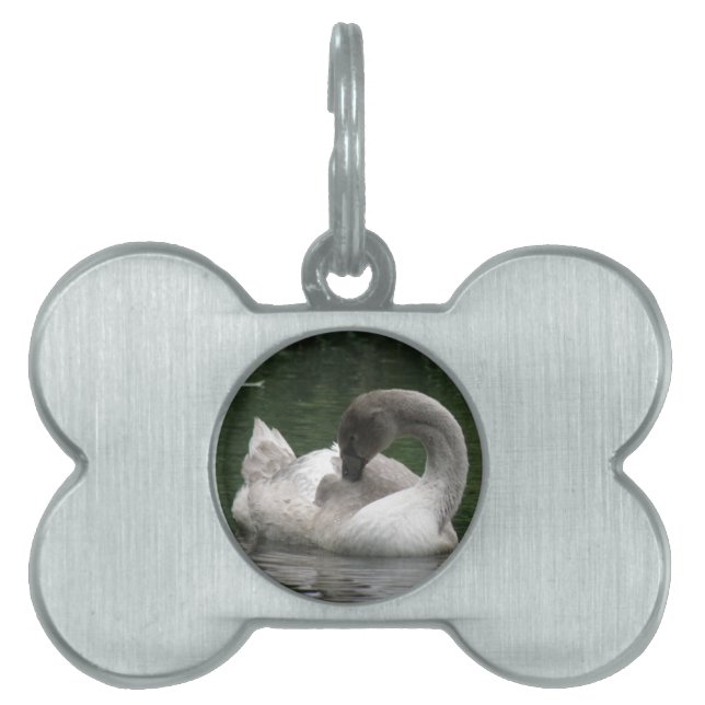 Sleepy Swan Pet Tag Tiermarke (Vorderseite)