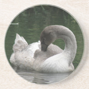 Sleepy Swan Untersetzer