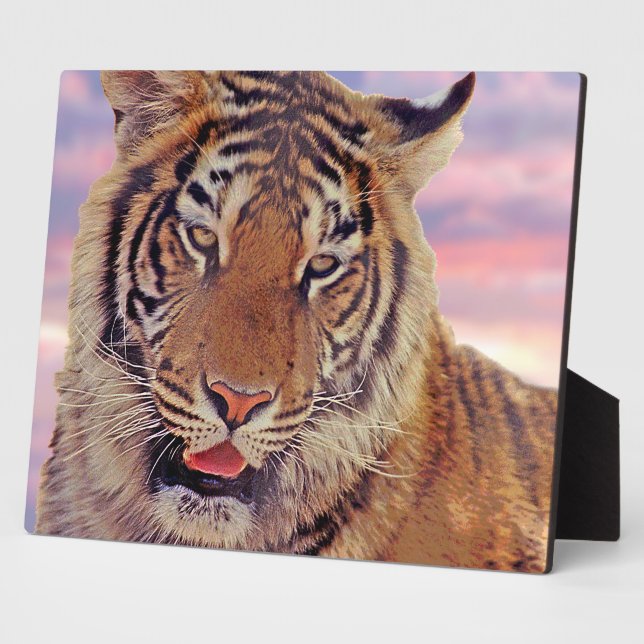 Sleepy Tiger - Fotoplatte (Seite)