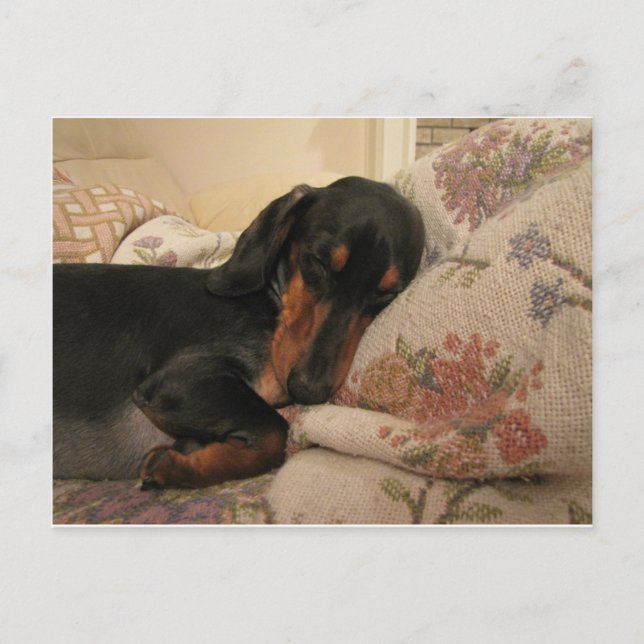 Sleepy Time Postcard Postkarte (Vorderseite)