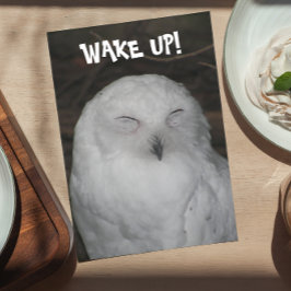 Sleepy White Owl Foto Funny Birthday Card Karte