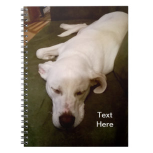 Sleepy White Puppy Dog Green Notebook Notizblock