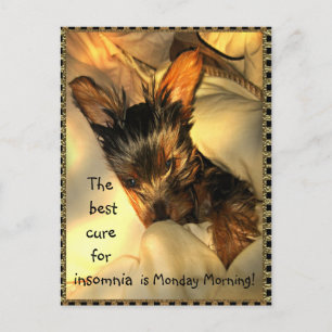 Sleepy Yorkie Customizable Postcard Postkarte