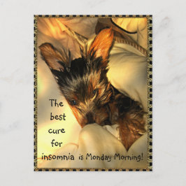 Sleepy Yorkie Customizable Postcard Postkarte