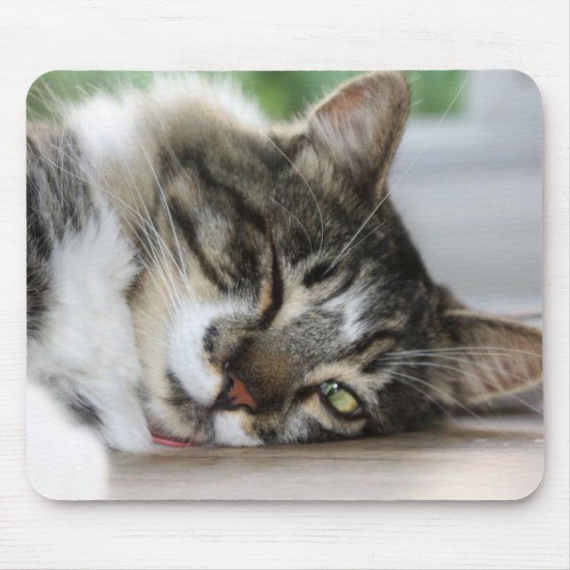 Sleepy Zorro Kitty Mouse Pad Mousepad (Vorne)