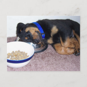Sleepyhead rottweiler. postkarte