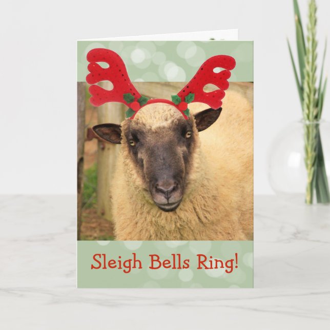 Sleigh Bells Sheep Feiertagskarte (Vorderseite)