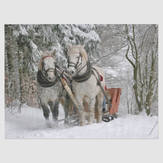 Sleigh Ride Seidenpapier (Vorderseite)