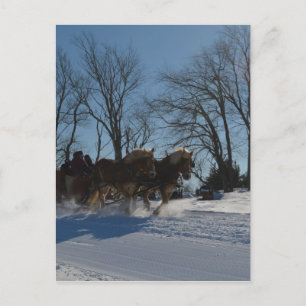 Sleigh ride Stowe Vermont Postkarte