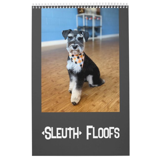 Sleuth o' Floofs Calendar Kalender (Titelbild)