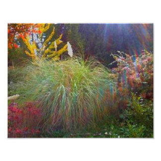 Slight Sun Rays Fotodruck