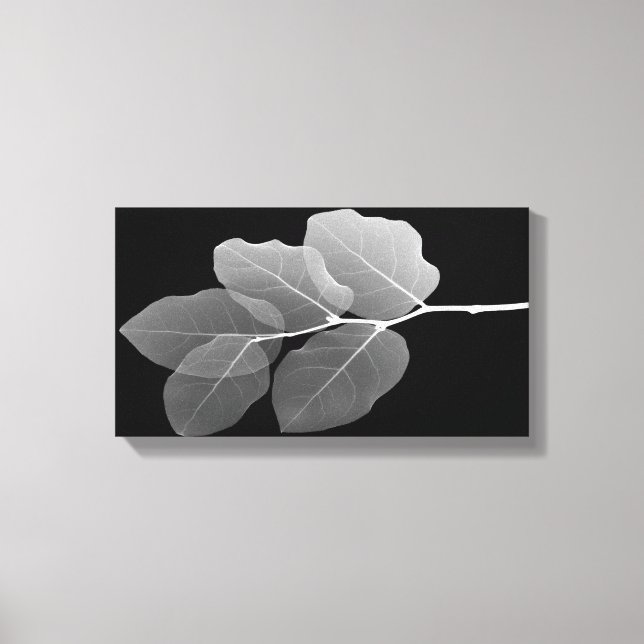 Slim Gerahmt Stretched Canvas Print - XRay New Bud Leinwanddruck (Vorderseite)