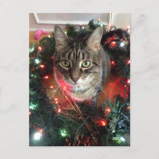 Slim Kitty Holiday Wreath Feiertagspostkarte