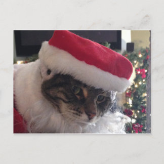 Slim Kitty Santa Card Feiertagspostkarte