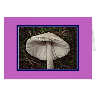 Slim Shady Shroom