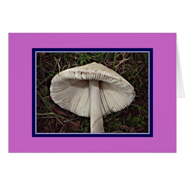 Slim Shady Shroom (Vorderseite (Horizontal))