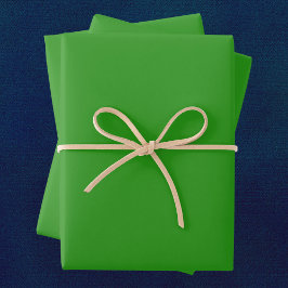Slimy Green Solid Color Geschenkpapier Set