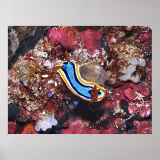 Slinking Nudizweizweige Poster