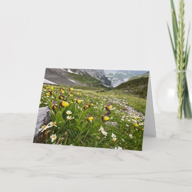 Slipper Orchids der Dame - Grußkarte Karte (Vorderseite)