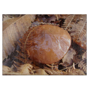 Slippery Jack Mushroom Glass Chopping Board Schneidebrett