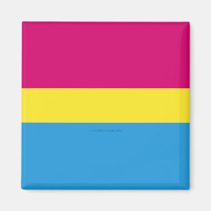SlipperyJoe pansexuelle Pride-Flagge pink Bernstei Magnet