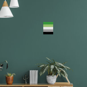 SlipperyJoe's Aromtic Pride Flag Gay Geschenke LGB Poster