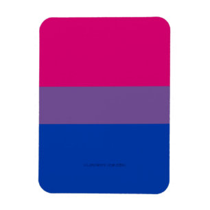 SlipperyJoe's Bisexuellen-Stolzflagge Farben magen Magnet