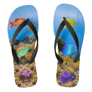 SlipperyJoe's Fish Pride tropisch-grüne blaue Purp Flip Flops