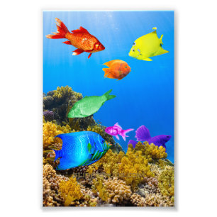 SlipperyJoe's Fish Pride tropisch-grüne blaue Purp Fotodruck