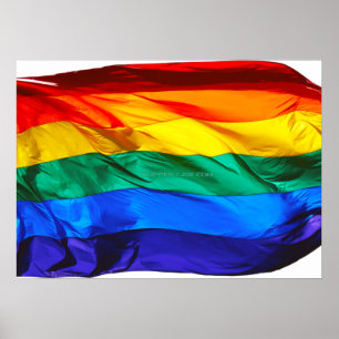 SlipperyJoe's Gay Pride Flag Wave Pride Colors rai Poster