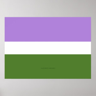 SlipperyJoe's Genderqueer Pride Flag Farben Non-bi Poster