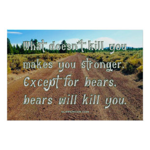 SlipperyJoe's lustiger Kies-Sprichwort-Schotterwal Poster