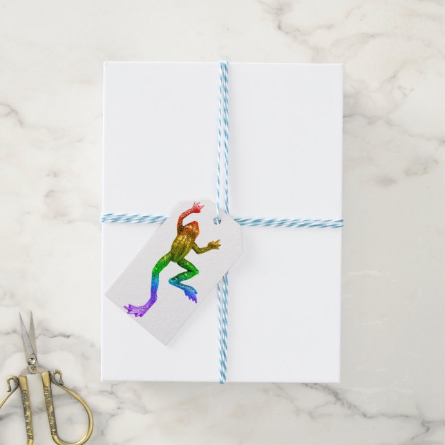 SlipperyJoe's Pride Frog-Figur Lebhaft farbig Geschenkanhänger (Mit Garn)