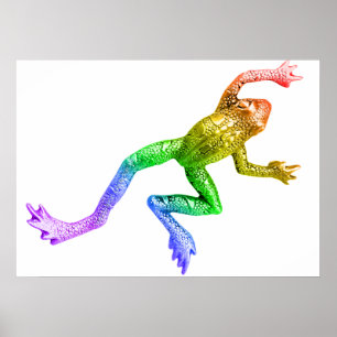 SlipperyJoe's Pride Frog-Tier krabbeln Regenbogen Poster