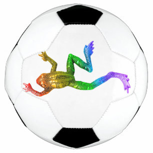 SlipperyJoe's regenbogenfarbener Frosch gerenderte Fußball