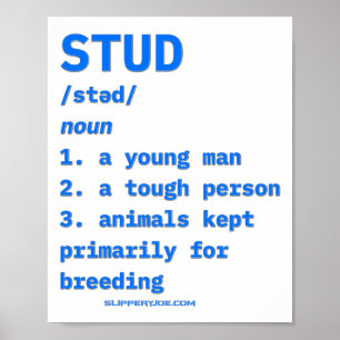 Slipperyjoes Stud Definition Tiere Wörterbuch B Poster