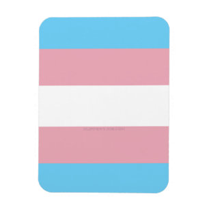 SlipperyJoe's Transgender-Stolzflagge Diversitäts- Magnet